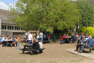 Megafinal outdoor picnics