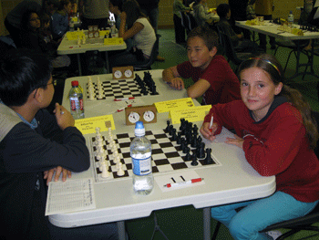 Terafinal 2010 photo