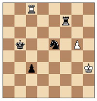 U9 zonal chess position