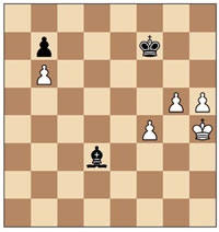 U9 zonal chess position