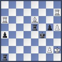 Chess Position